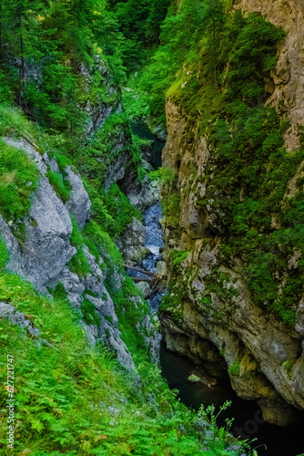 Trigrad gorge canyon of vertical marble rocks in rhodope mountains