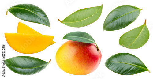 Fresh organic mango with leaves isolated