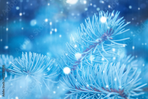 Winter background and Christmas Tree with pine branches and falling snowflakes.