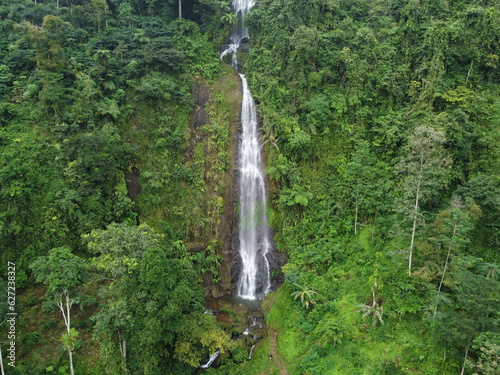 waterfall in the forest