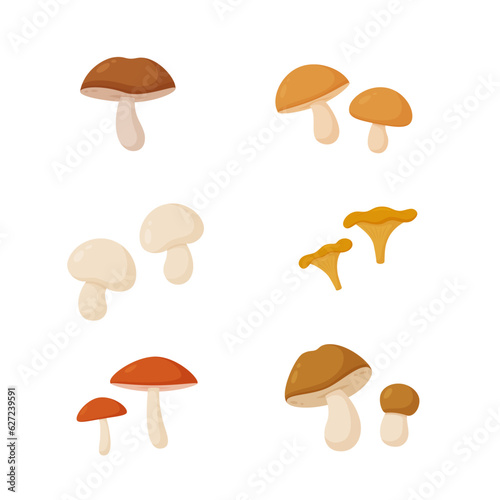 Set of mushrooms isolated on white background. Vector illustration. 