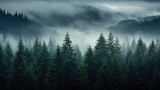 A lucious dark green forest with a cool setting mist creates an image that is perfect for any background.