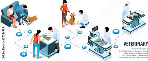Veterinary Isometric Infographics
