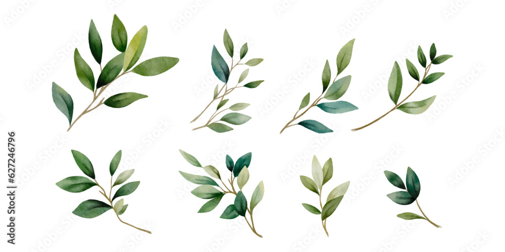 set of green branches with leaves isolated. Great as stickers, botanical decor, flower shop logo set of green branches with leaves isolated. Great as stickers, botanical decor, flower shop logo