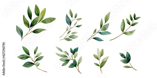 set of green branches with leaves isolated. Great as stickers, botanical decor, flower shop logo