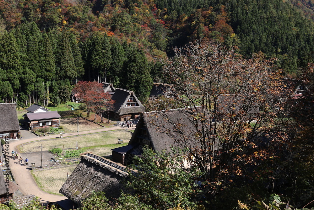 紅葉した郷越中五箇山菅沼集落