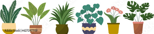 plants, flowers in flowerpots in flat style vector