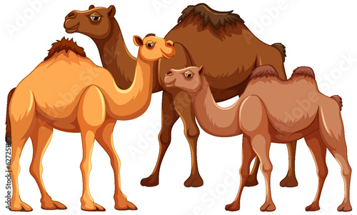 Camel Family Cartoon