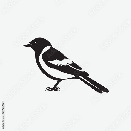 Bird vector illustration design © Happymoon