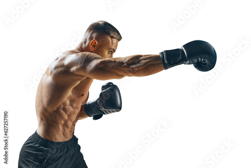 Boxing, gloves and portrait of man for sports exercise, strong muscle or mma training. Male boxer, workout, training photo