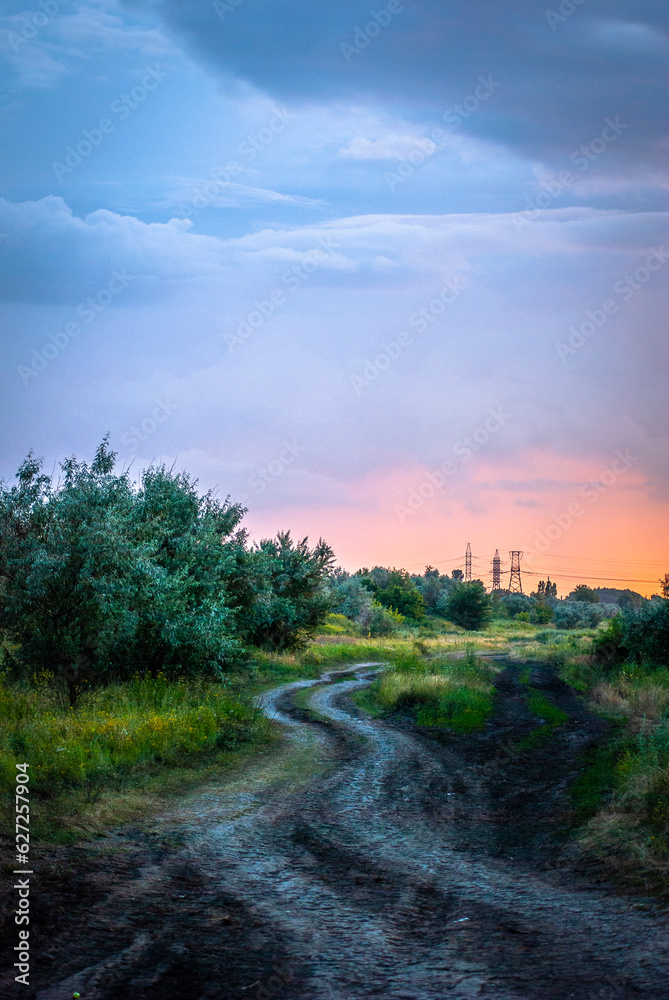 Obraz premium sunset in the forest