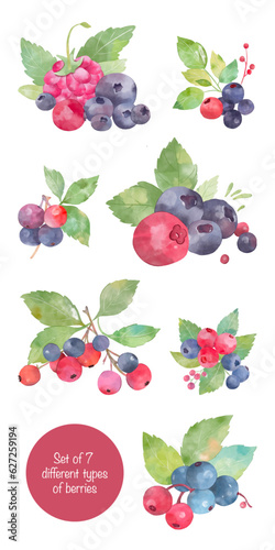Set of watercolour berries. Strawberry, blueberry, raspberry, bilberry, red currant clip art. 