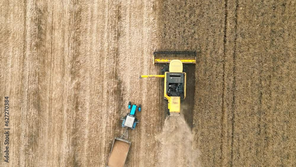 4k aerial view Close up of Modern combine harvester collects ripe wheat in slow motion. Flying directly above combine. Top view. Agriculture scene. 4k aerial view Close up of Modern combine harvester collects ripe wheat in slow motion. Flying directly above combine. Top view. Agriculture scene.