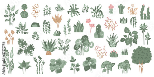 Hand drawn indoor flowers house plants  collection.