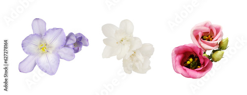 Wallpaper Mural Set of flowers (freesia, eustoma, jasmine) isolated on white or transparent background Torontodigital.ca