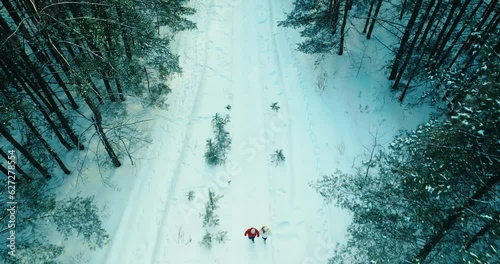 loving couple travelling in nature in winter, aerial view, beautiful pinery in Christmas, 4K, Prores
