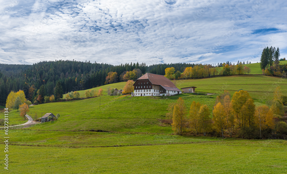 Obraz premium Farmhouse in Jostal near Titisee-Neustadt, Black Forest, Breisgau-Hochschwarzwald, Baden-Wuerttemberg, Germany (photographed from public space)