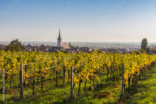 View from vineyards to Maikammer with the catholic church in autumn, German Wine Route, Rhineland-Palatinate, Germany photo