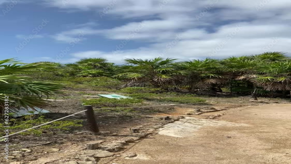 Panoramic view of Mayan Ruins in Tulum, Riviera Maya. Mexico Panoramic view of Mayan Ruins in Tulum, Riviera Maya. Mexico