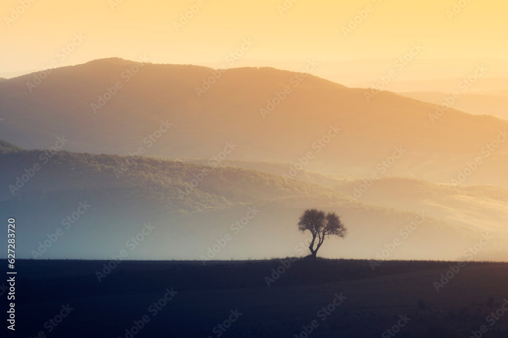 colorful sunset light in fantasy landscape with tree