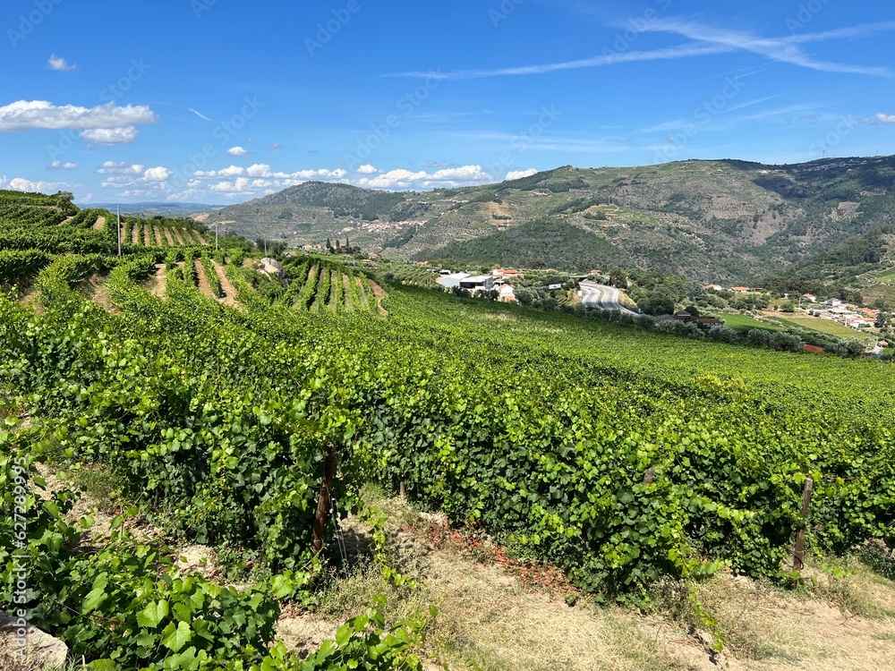 Lamego Portugal Wine Production Wine Farm Historic Production