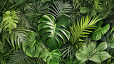 Green leaves background. Green tropical monstera leaves, palm leaves, coconut leaf, fern, palm leaf, banana leaf. Panoramic background. nature concept.