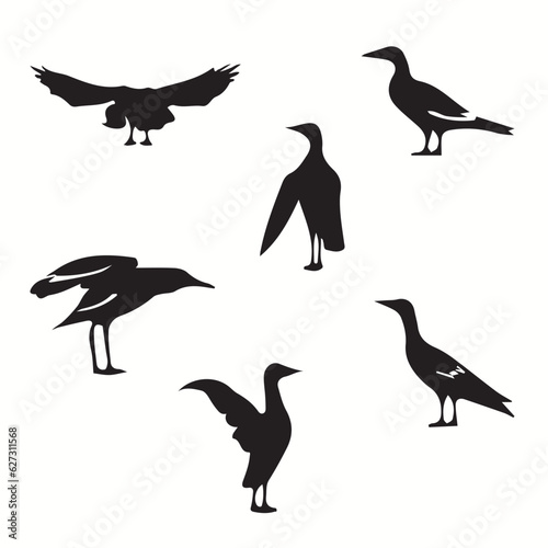 Albatross silhouettes and icons. Black flat color simple elegant Albatross animal vector and illustration.