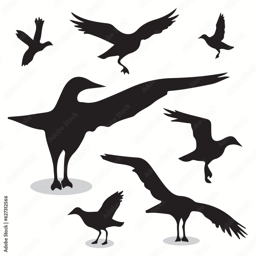 Albatross silhouettes and icons. Black flat color simple elegant Albatross animal vector and illustration.