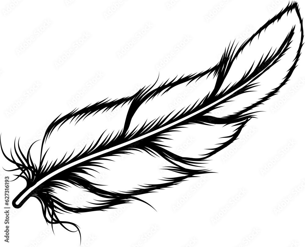 Bird Feather Hand Drawn Illustration Vector Bird Feather Hand Drawn Illustration Vector