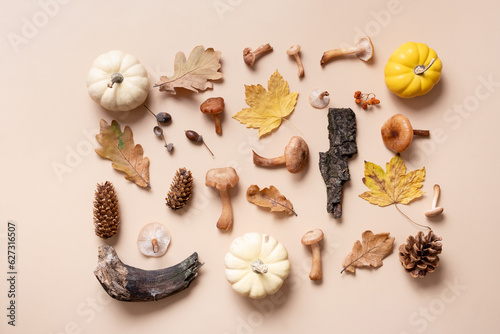 Pumpkin, mushrooms and autumn leaves on beige background. Autumn flat lay composition background.