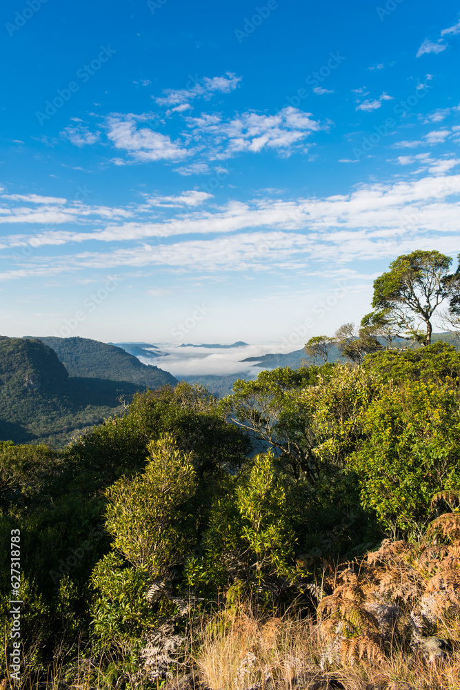 Obraz premium Beautiful viewpoint at Ronda Municipal Park in Sao Francisco de Paula, South of Brazil