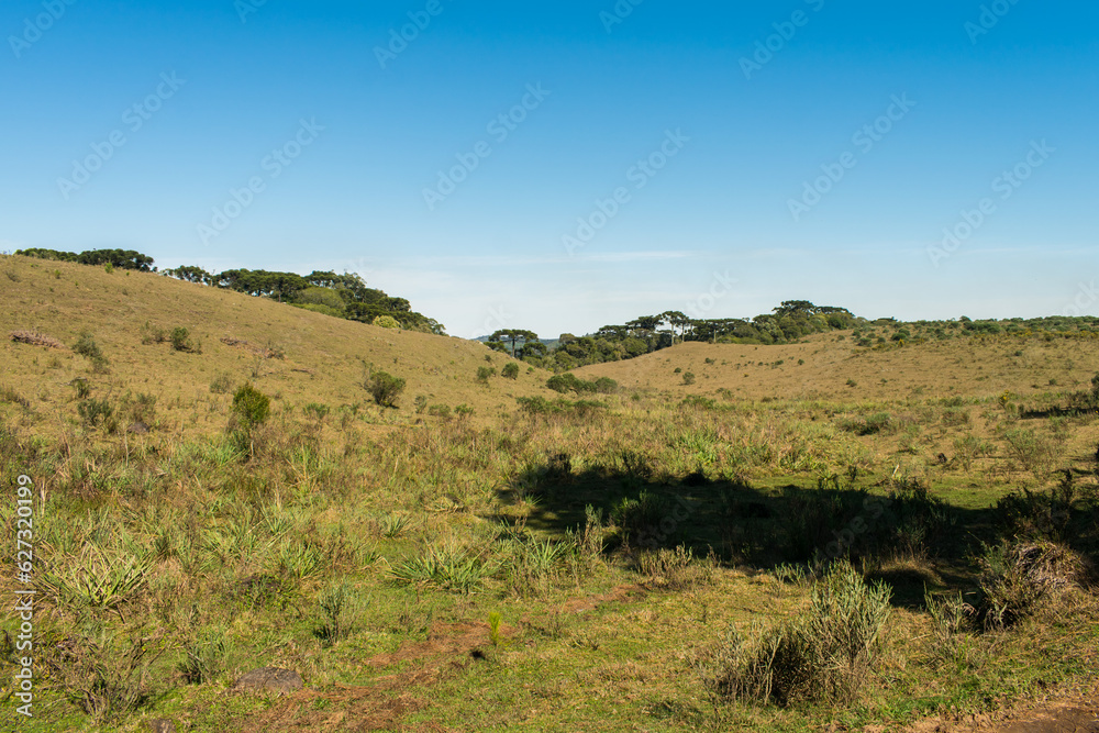 Hilly landscape at Parque da Ronda in Sao Francisco de Paula, South of Brazil Hilly landscape at Parque da Ronda in Sao Francisco de Paula, South of Brazil