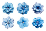 Selection of various blue flowers isolated on transparent background