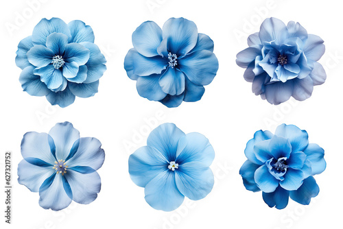 Fototapete Selection of various blue flowers isolated on transparent background