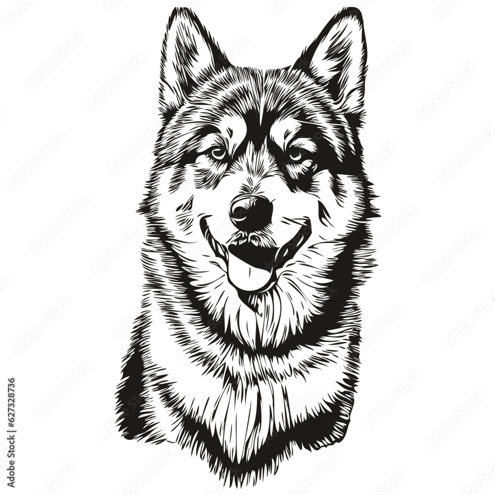 Malamute dog realistic pet illustration, hand drawing face black and white vector sketch drawing