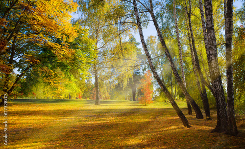 sunny glade  in the autumn park