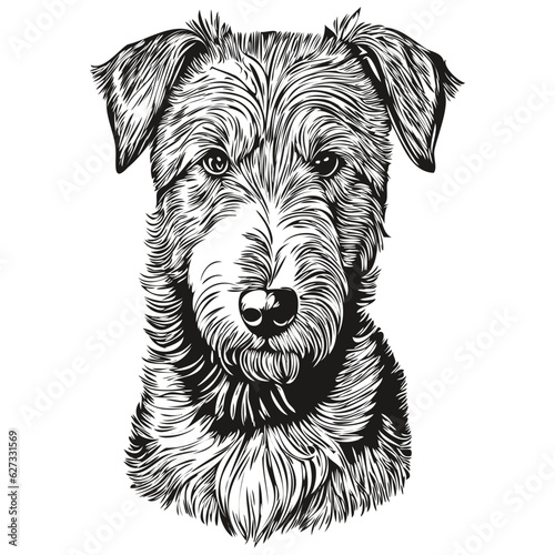 Airedale Terrier dog isolated drawing on white background, head pet line illustration
