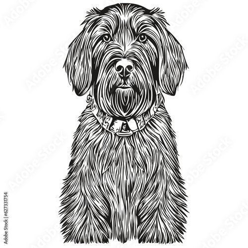 Giant Schnauzer dog hand drawn logo drawing black and white line art pets illustration realistic breed pet