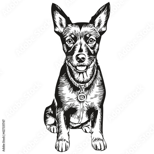 Manchester Terrier dog pet sketch illustration, black and white engraving vector realistic breed pet