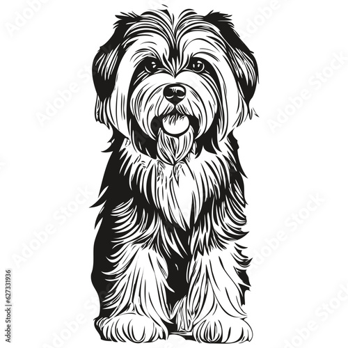 Fotografia Tibetan Terrier dog silhouette pet character, clip art vector pets drawing black