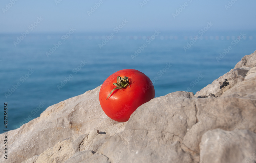 One tomato only on the cliff. Background of the sea. One tomato only on the cliff. Background of the sea.