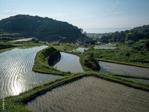 Quadro su tela 淡路島の石田の棚田