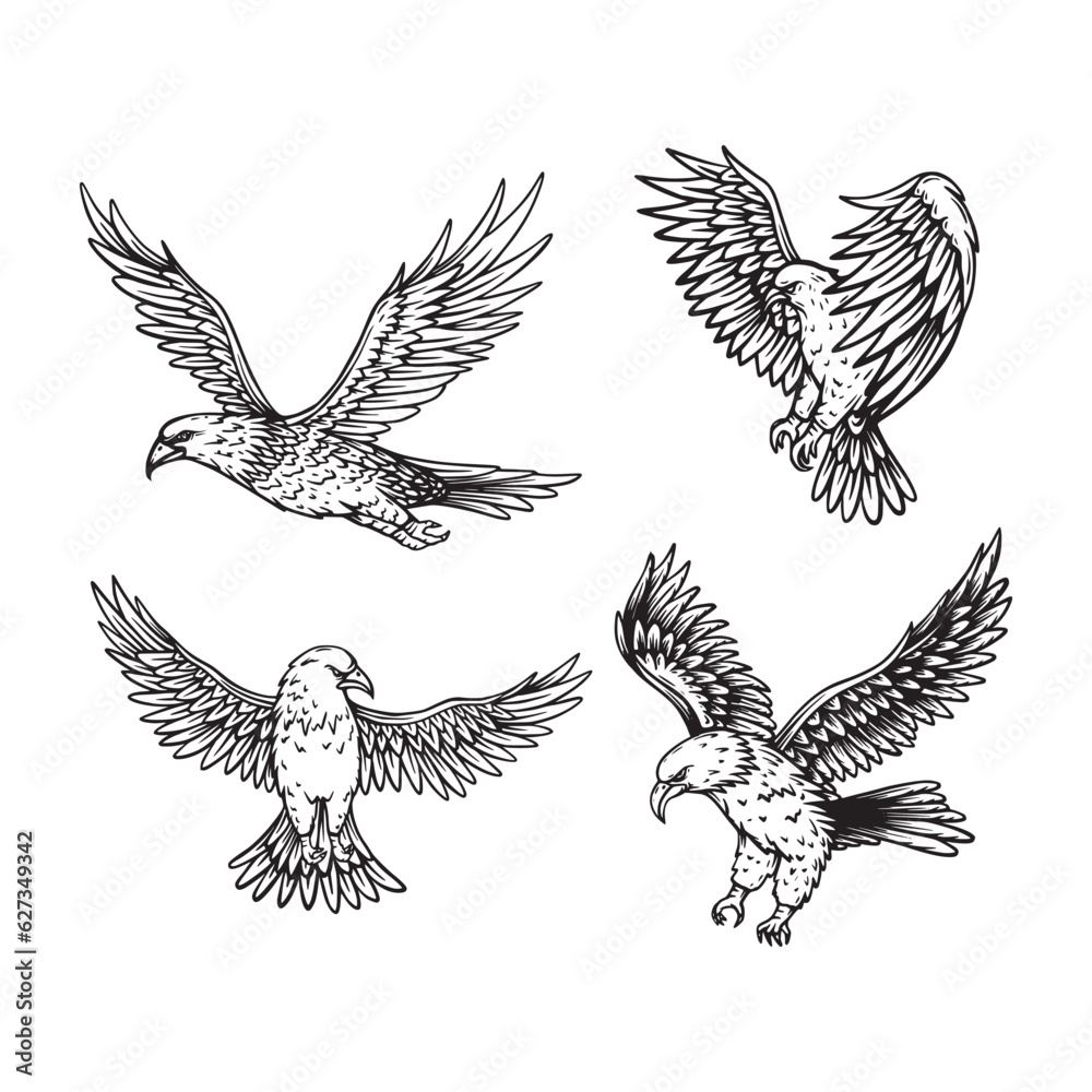 Fototapeta premium Set of Eagle sketch hand drawn vector illustration design template