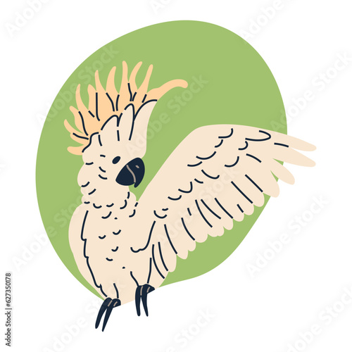 Exotic cockatoo parrot with white feather and orange iroquois flapping its wings. Beautiful macaw isolated on white. Vector wild tropical bird with bright feather. Summer holiday design animals