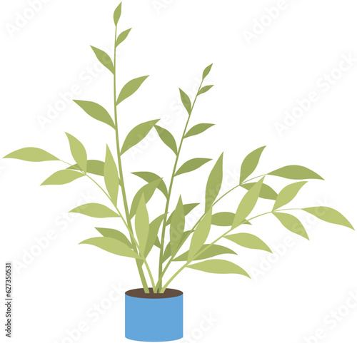 Home or office plant in pot. Vector illustration. Foliage plant in pot for interior. Home plant in flowerpot. Houseplants isolated on white. Trendy green home decor. Houseplant in ceramic container
