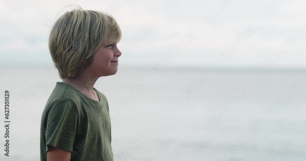 Happy relaxed boy breathing fresh air raising arms over blue sky at summer, Dreaming, freedom and traveling concept. Happy relaxed boy breathing fresh air raising arms over blue sky at summer, Dreaming, freedom and traveling concept.
