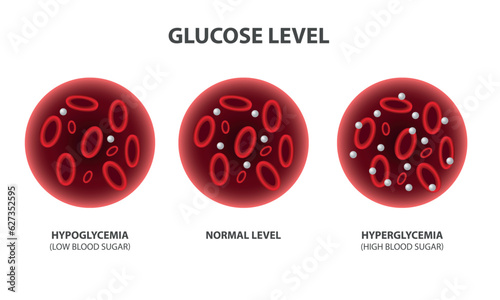 Blood glucose level, vector illustration photo