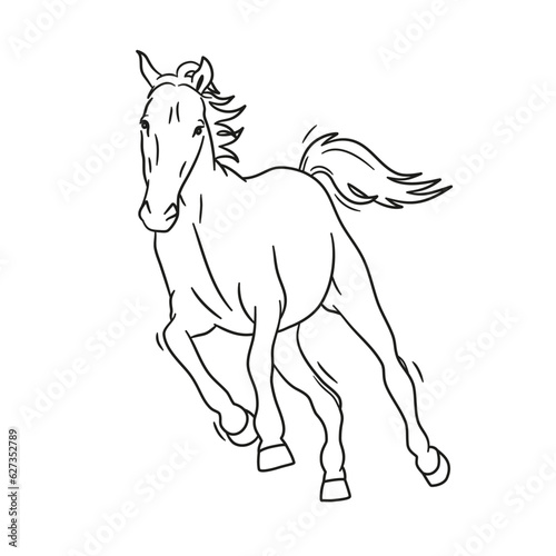 Illustration Line Art Tier Pferd