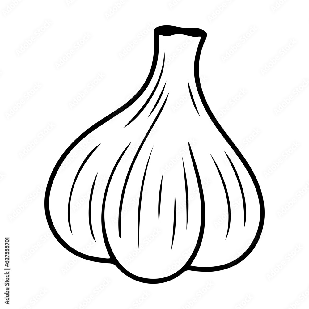 garlic bulb, garlic icon, vegetable for cooking and seasoning
