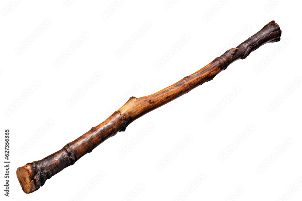Hiking stick. isolated object, transparent background Hiking stick. isolated object, transparent background